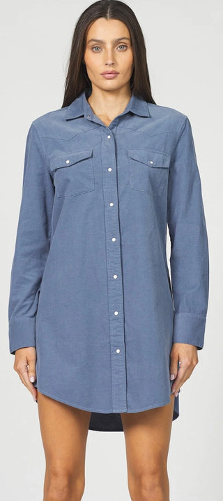 Vintage Indigo Rory Dress